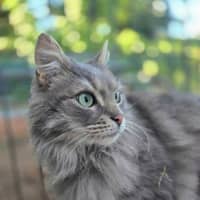 Photo of Samuel Whiskers