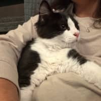 Photo of Hugo