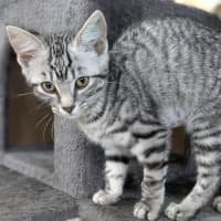 Photo of 🍰 Jam 5775 🍰