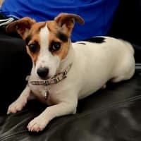 Photo of Coco Newhaven