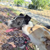 Photo of Kenny! 🤍🖤