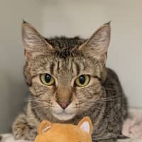 Photo of Sherbie