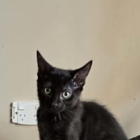 Photo of Fiona 