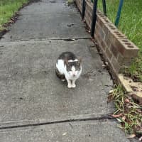 Photo of Billy