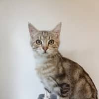 Photo of Jasper