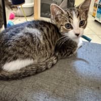 Photo of Dennis, Pablo, Picasso And Henry Ii