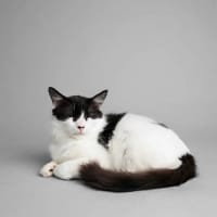 Photo of Charlie 