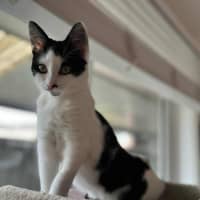 Photo of Plankton   Located In Frankston