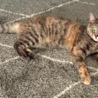 Photo of Charlotte