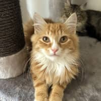 Photo of Jamie ❤️