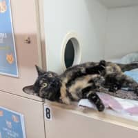 Photo of Agnes