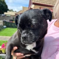 Photo of Christopher 