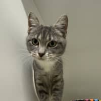 Photo of Nox