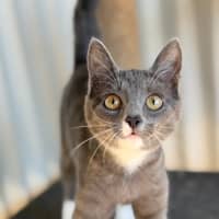 Photo of Nora