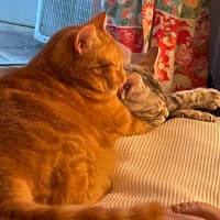 Photo of Rufus And Pandora