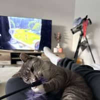 Photo of Thunda