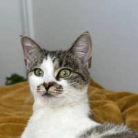 Photo of Charlee