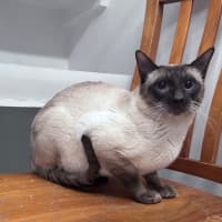 Photo of George 