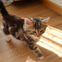 Photo of Max