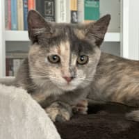 Photo of Stormy