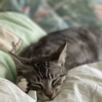 Photo of Peter And Brock