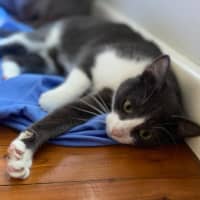 Photo of Storm (9173)