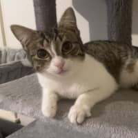 Photo of Monty