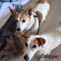 Photo of Tiara And Choppa