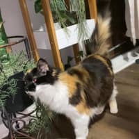 Photo of Dolly Purrton