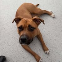 Photo of Maggie