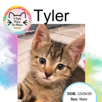Photo of Tyler