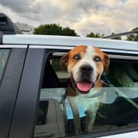 Photo of Benny