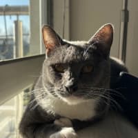 Photo of Luna