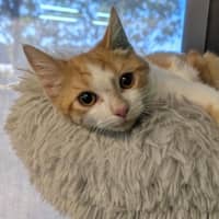 Photo of Breen Junior