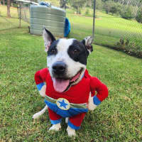 Photo of Biggie Smallz