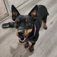 Photo of Bobby