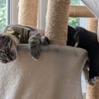 Photo of Millie & Zoe