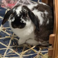 Photo of Andy & Astro