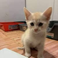 Photo of Fred