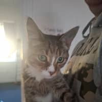 Photo of Buddy