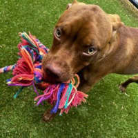 Photo of Maisy