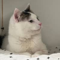 Photo of Snowy