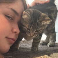 Photo of Puffin Meet Me@Petstock Mornington Nepean Hwy 