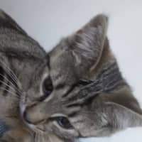 Photo of Lady Maisie