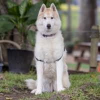 Photo of Zara