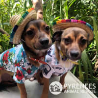 Photo of Bert And Ernie