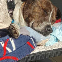 Photo of Pat In The Hat