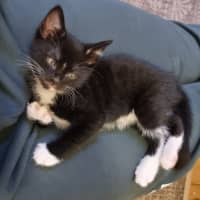 Photo of Amelie