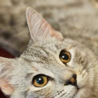 Photo of Georgina