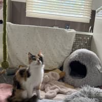 Photo of Poe